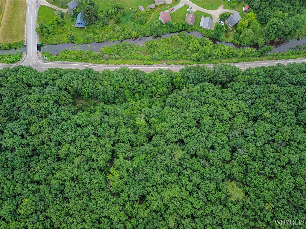 0 Rt-70 Swain, NY 14884 - Photo 5 of 18