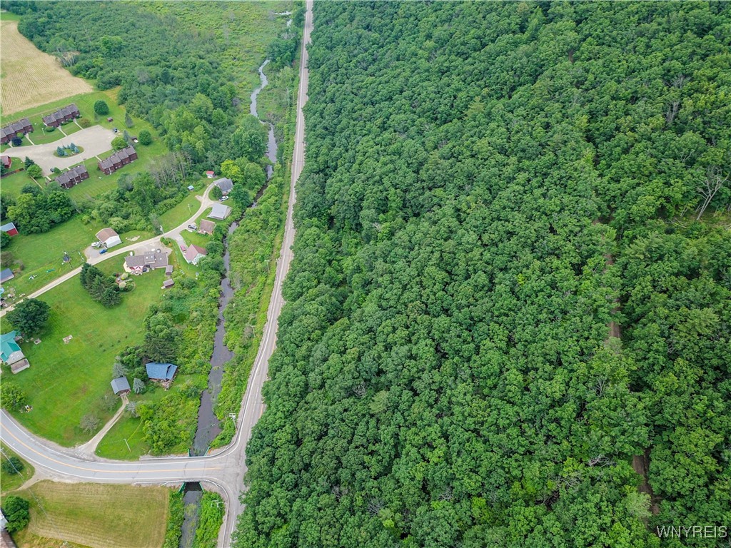 0 Rt-70 Swain, NY 14884 - Photo 6 of 18