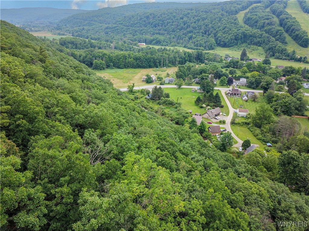 0 Rt-70 Swain, NY 14884 - Photo 7 of 18