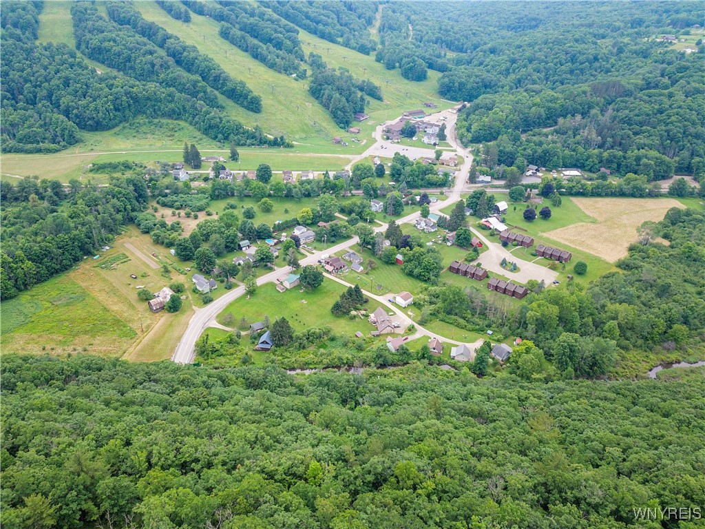 0 Rt-70 Swain, NY 14884 - Photo 8 of 18