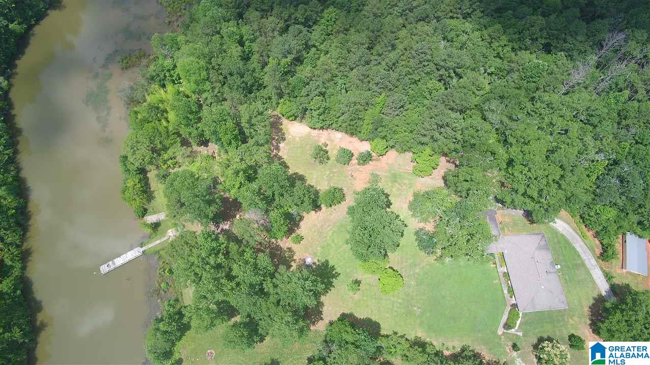 231 County Road 2012 Delta, AL 36258 - Photo 22 of 24