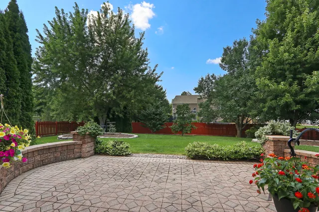 a view of a garden with plants and large trees