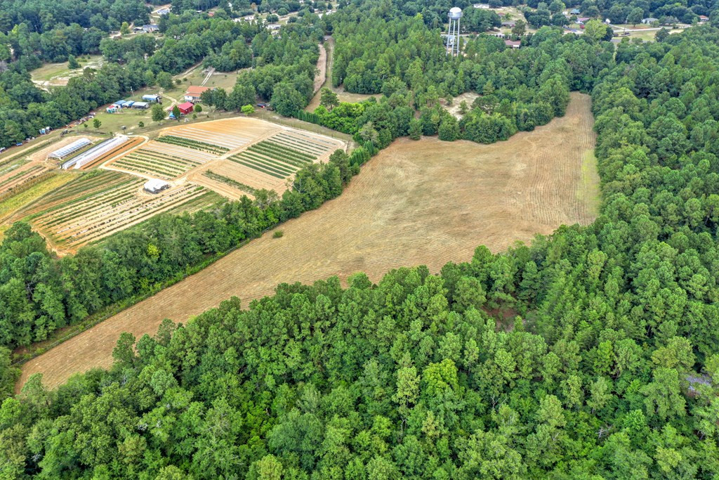 182 New Bridge Road Aiken, SC 29801 - Photo 10 of 18