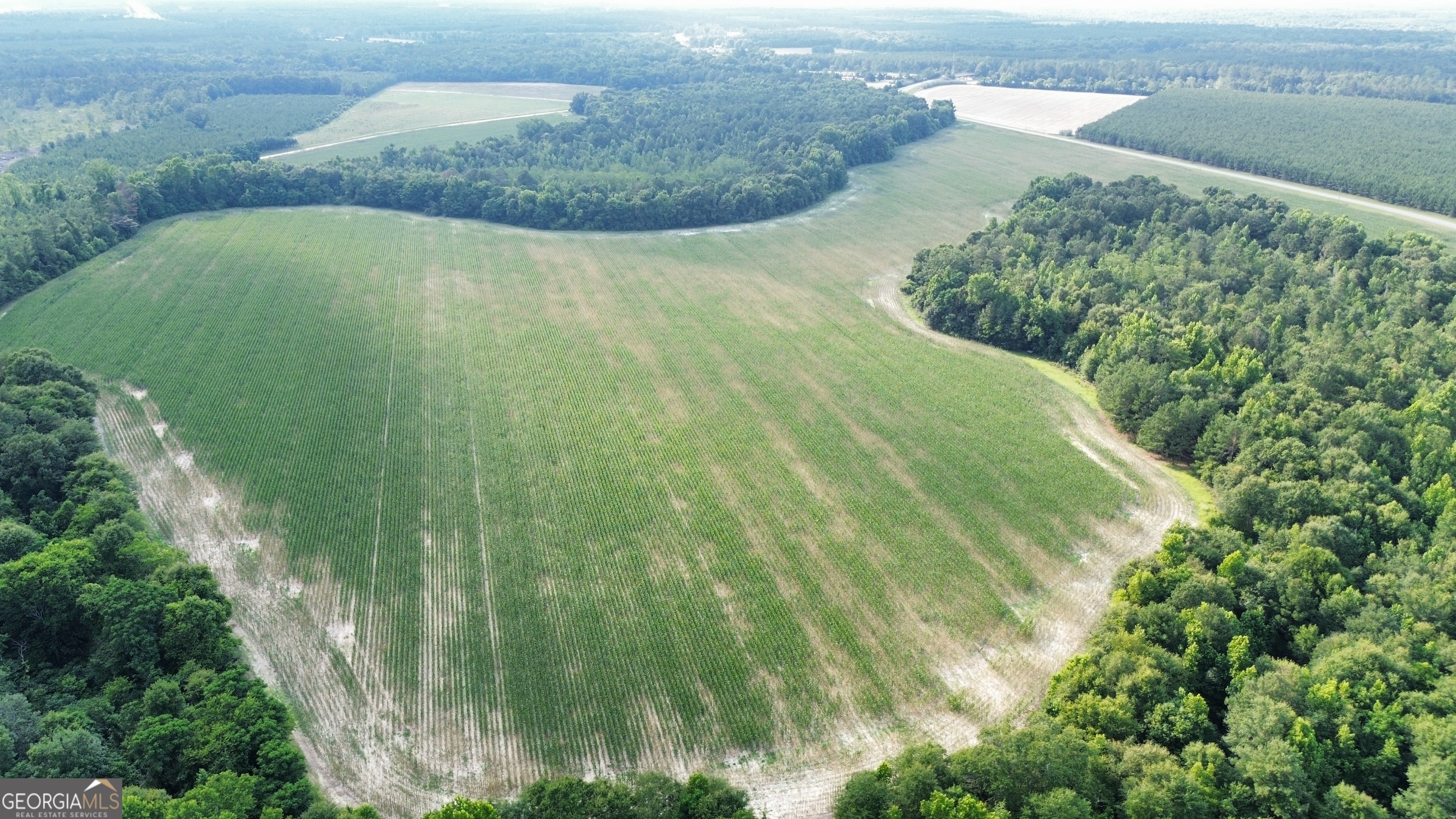1665 Walke Dairy Road Dublin, GA 31021 - Photo 20 of 94