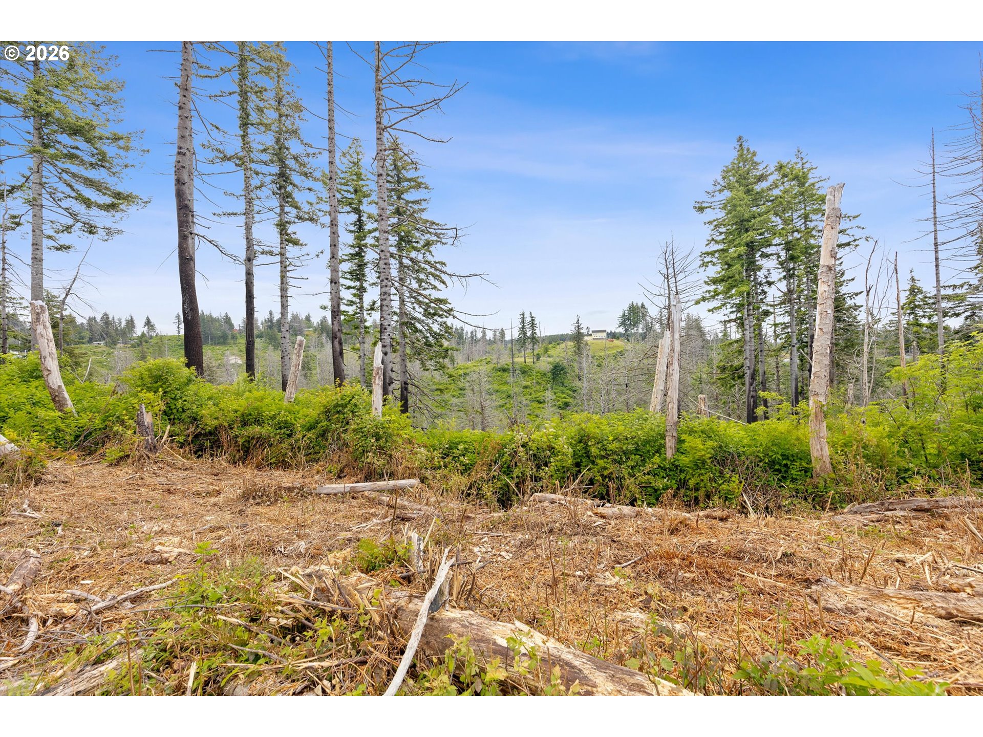 Northeast Viewcrest Street, Unit TL 900 Otis, OR 97368 - Photo 13 of 14