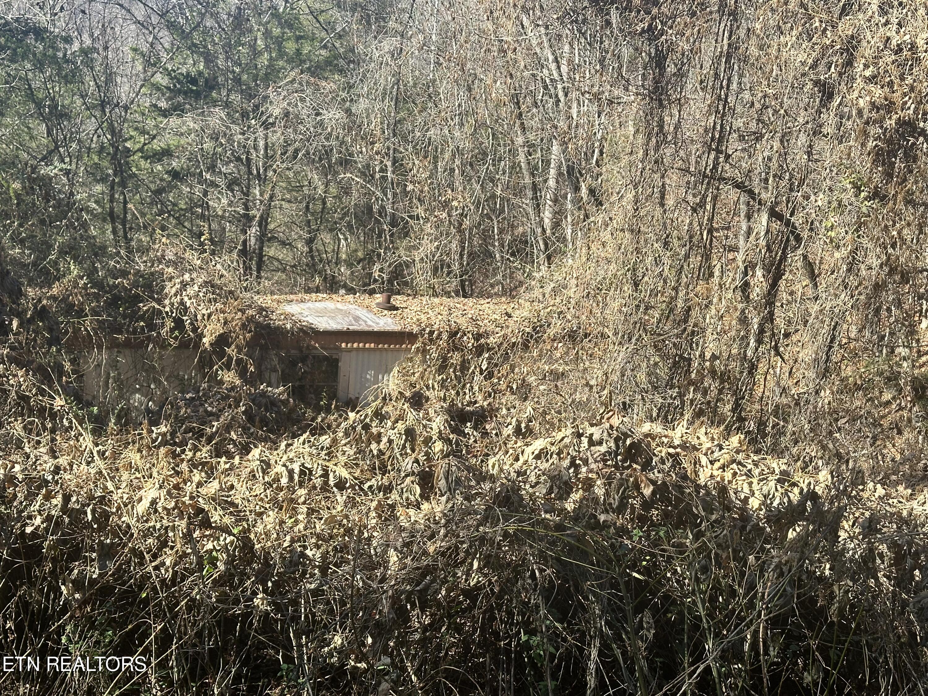 Vancel Hill Road Tazewell, TN 37879 - Photo 3 of 7 IMG_3729