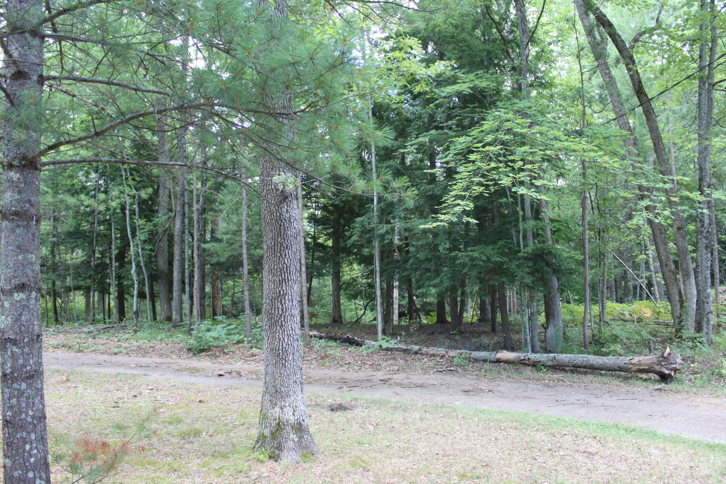 6623 James Road Baldwin, MI 49304 - Photo 38 of 38 IMG_0635