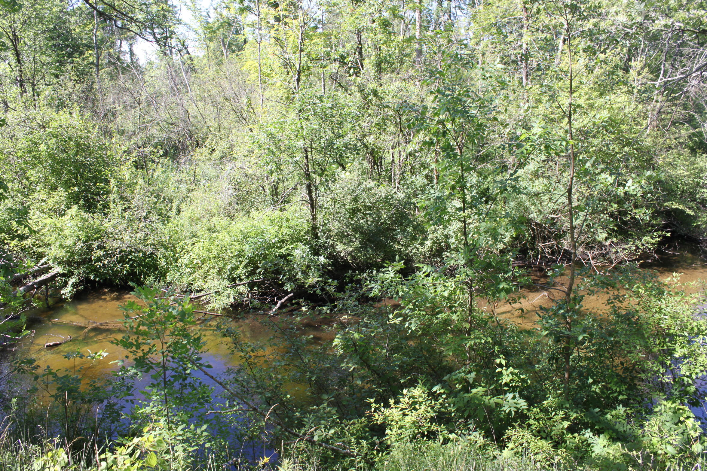 6623 James Road Baldwin, MI 49304 - Photo 10 of 38 IMG_0598