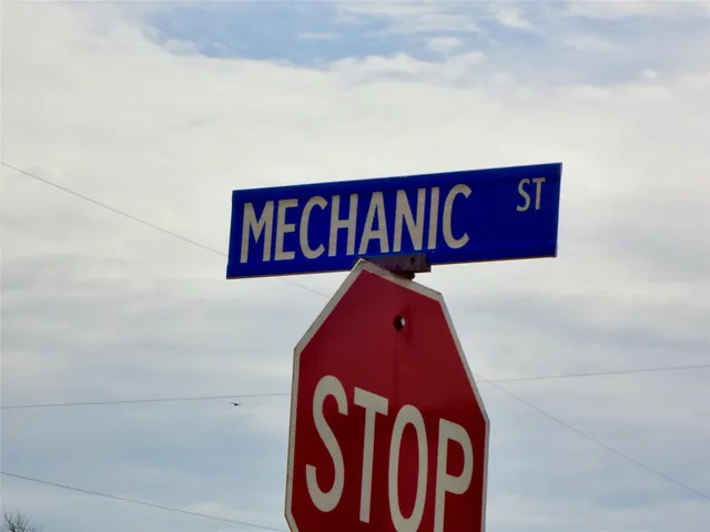 a utility room with a white wall and a potted plant