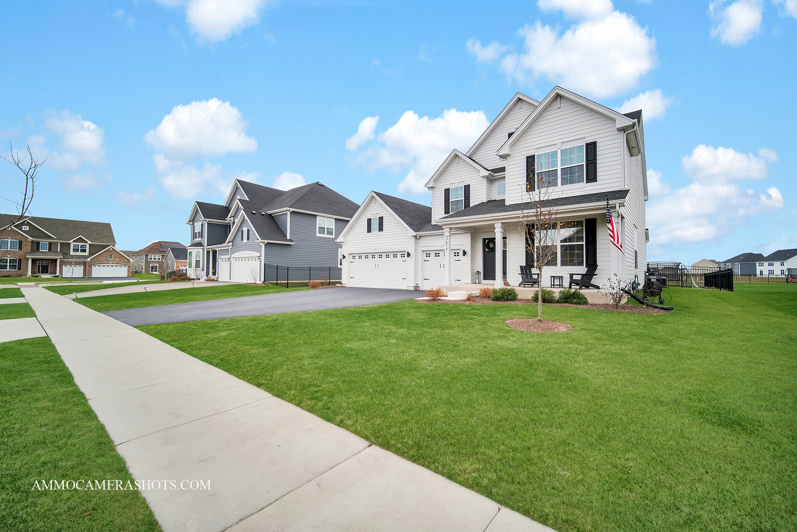 3617 Edelweiss Road Elgin, IL 60124 - Photo 4 of 38 a view of house with a big yard and large trees