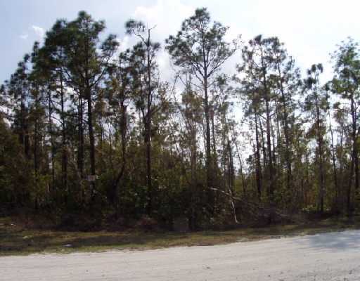 43 Rd Street Loxahatchee, FL 33470 - Photo 1 of 3 Primary Photo
