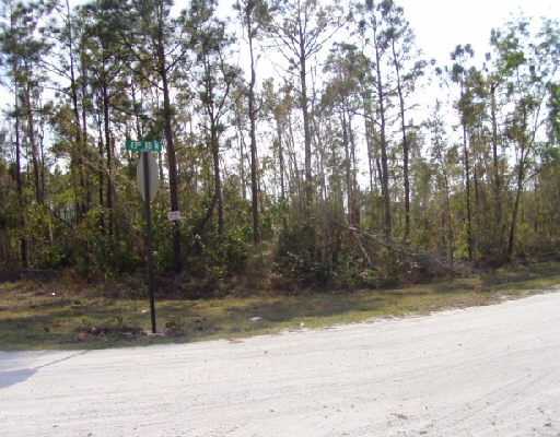 43 Rd Street Loxahatchee, FL 33470 - Photo 2 of 3 Additional Photo