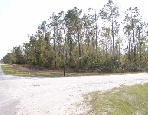 43 Rd Street Loxahatchee, FL 33470 - Photo 3 of 3 Additional Photo