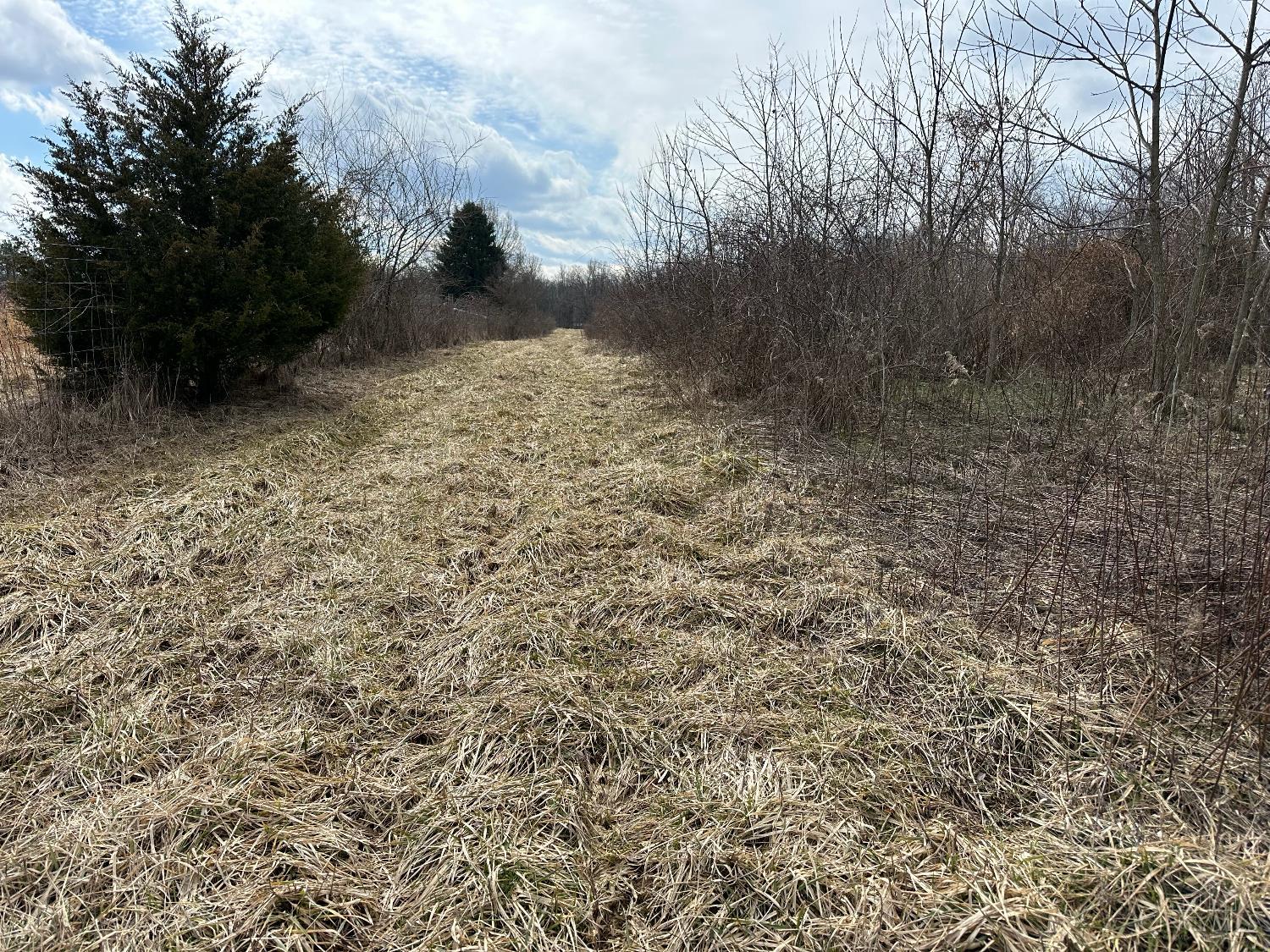 0 Wilson Road Winchester, OH 45697 - Photo 37 of 69
