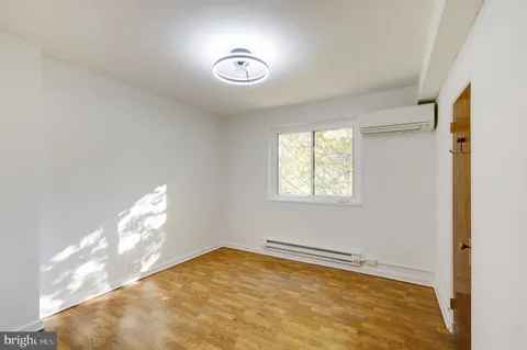 a view of a yard with plants and trees