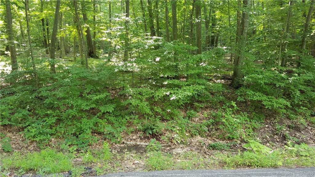 0 West Road Salem, CT 06420 - Photo 1 of 1