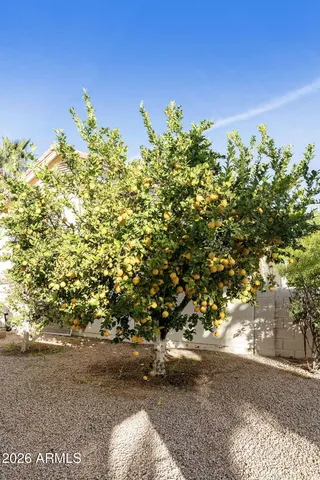 $395,000 | 26609 South Truro Drive, Sun Lakes, AZ 85248