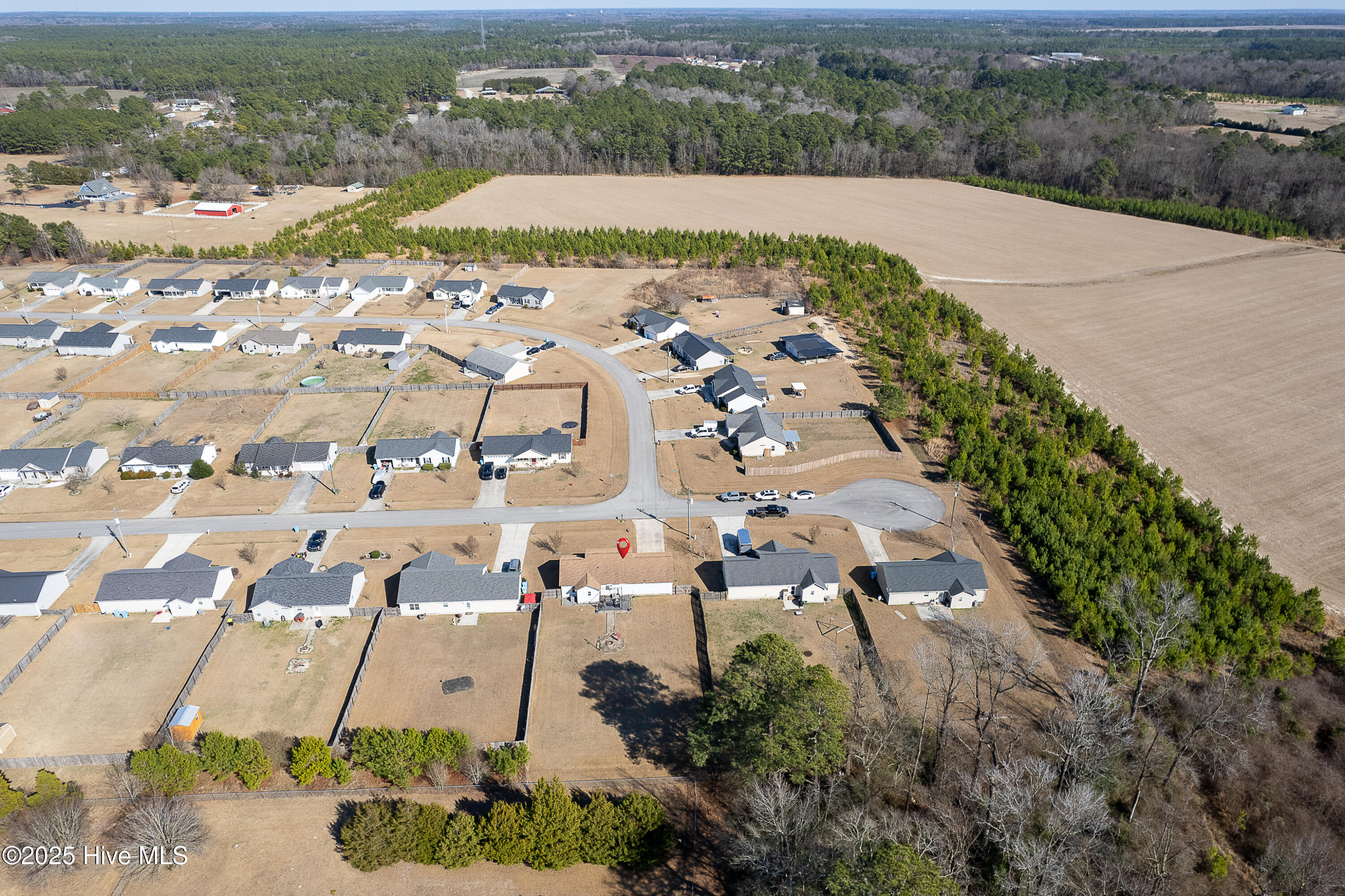 124 Eagle Ridge Drive Beulaville, NC 28518 - Photo 22 of 26 23-9