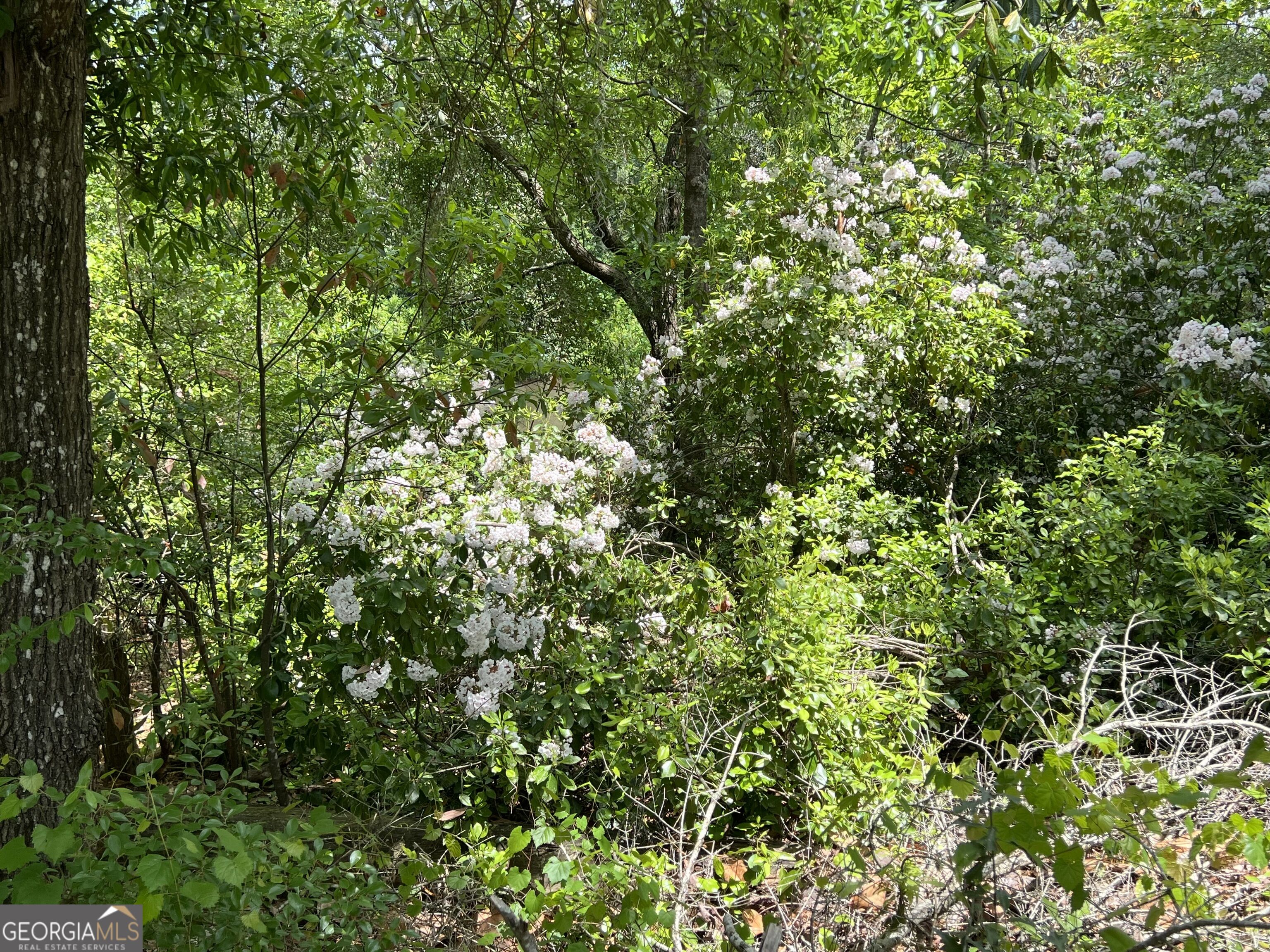 490 Murray Road Bainbridge, GA 39819 - Photo 62 of 67 Gallery Image 62