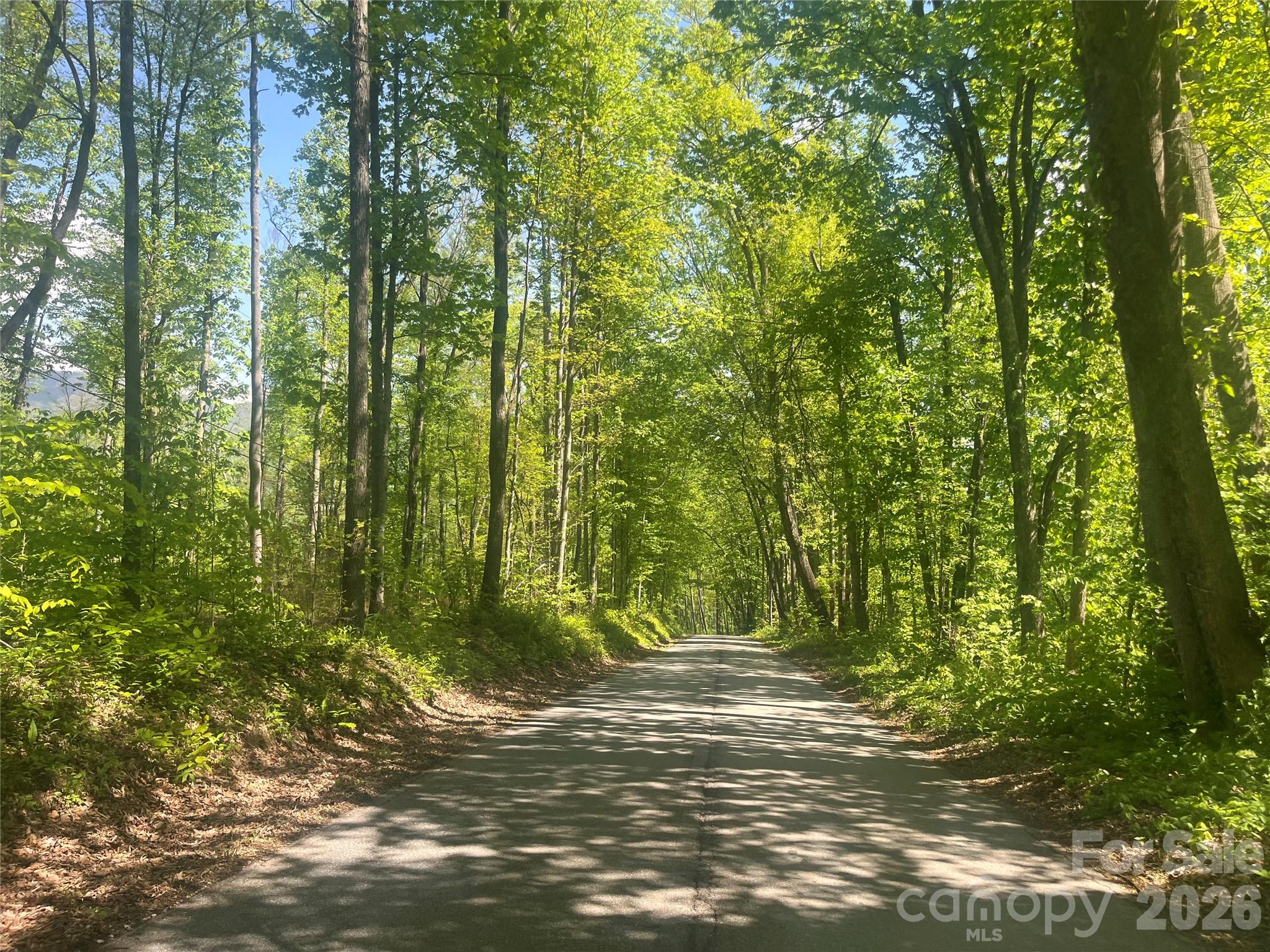 1205 Saunook Road Waynesville, NC 28786 - Photo 7 of 8