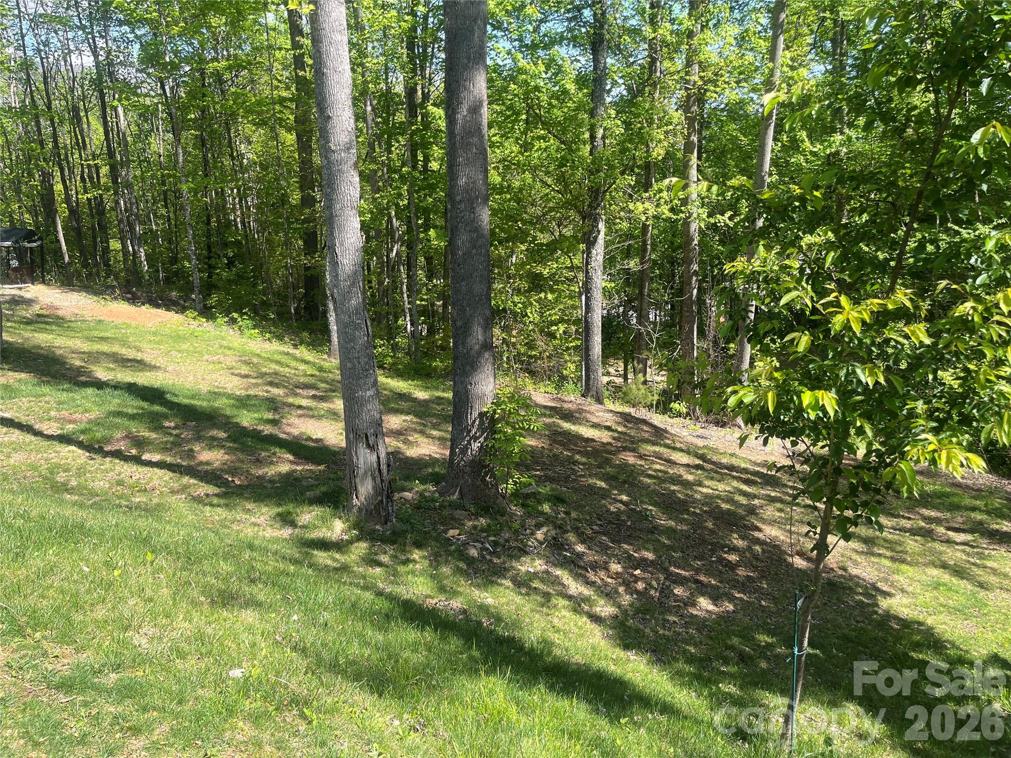 1205 Saunook Road Waynesville, NC 28786 - Photo 8 of 8