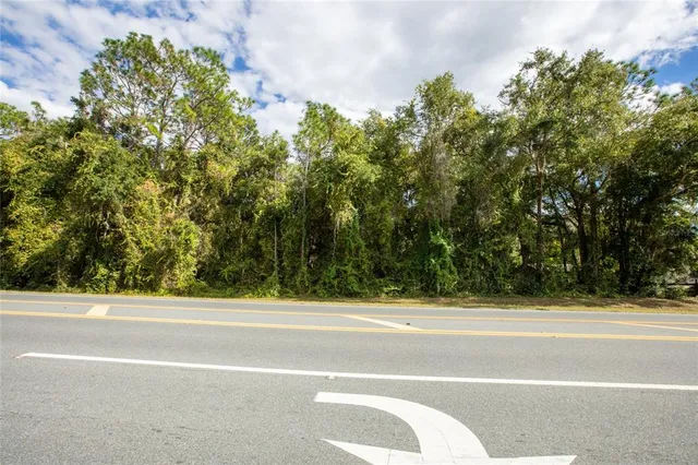 a view of a green field with plants