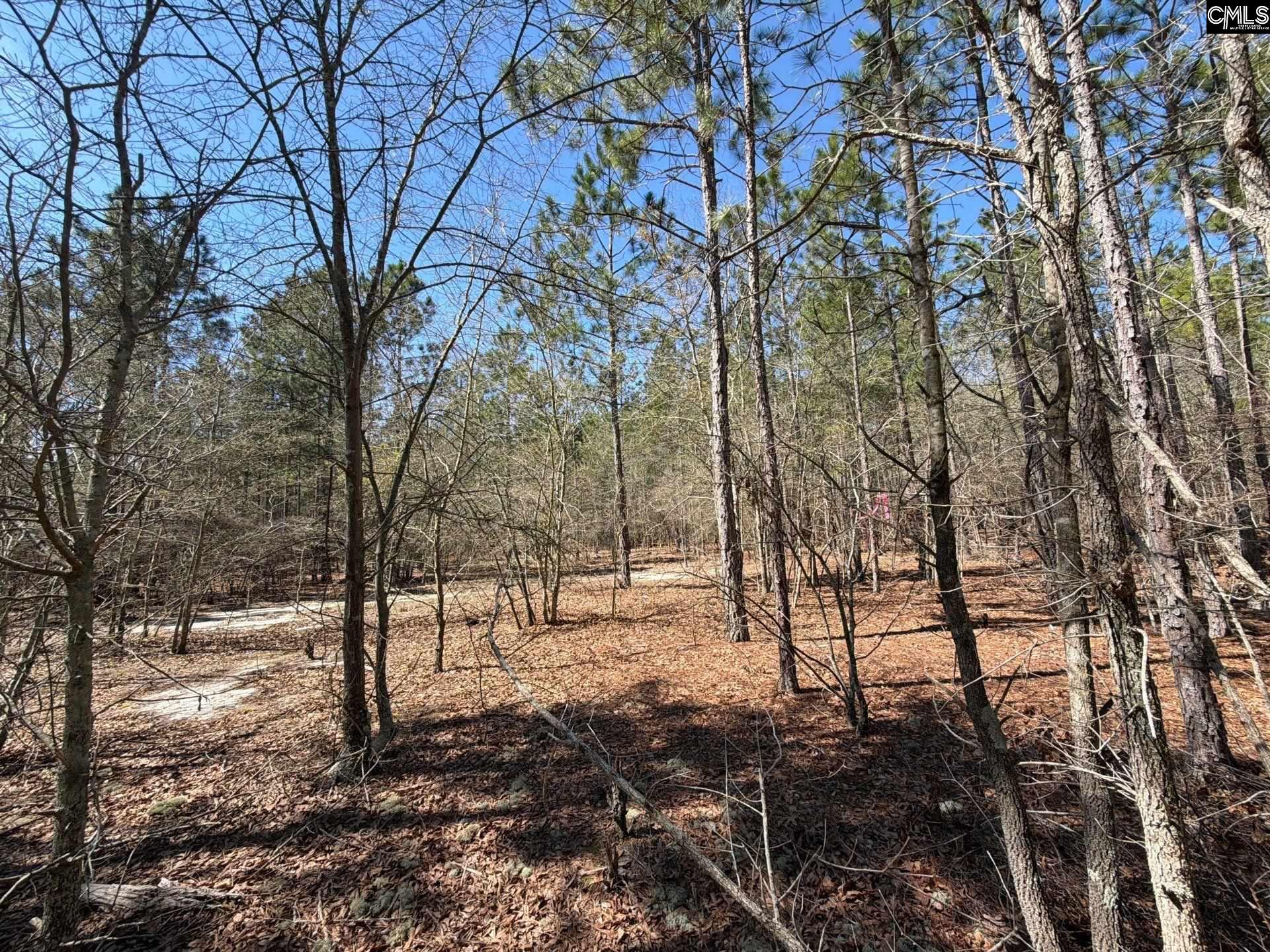 11 Boise Cascade Road, Unit BHL 11 Bethune, SC 29009 - Photo 20 of 24