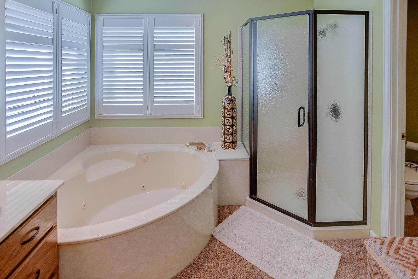 119 Red Fox Road Belleville, IL 62223 - Photo 30 of 59 Gallery Image 30