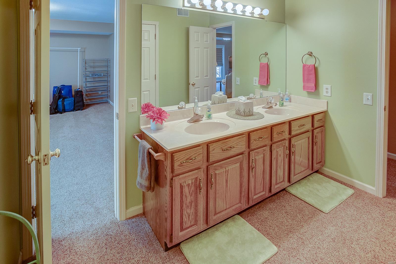 119 Red Fox Road Belleville, IL 62223 - Photo 44 of 59 Gallery Image 44