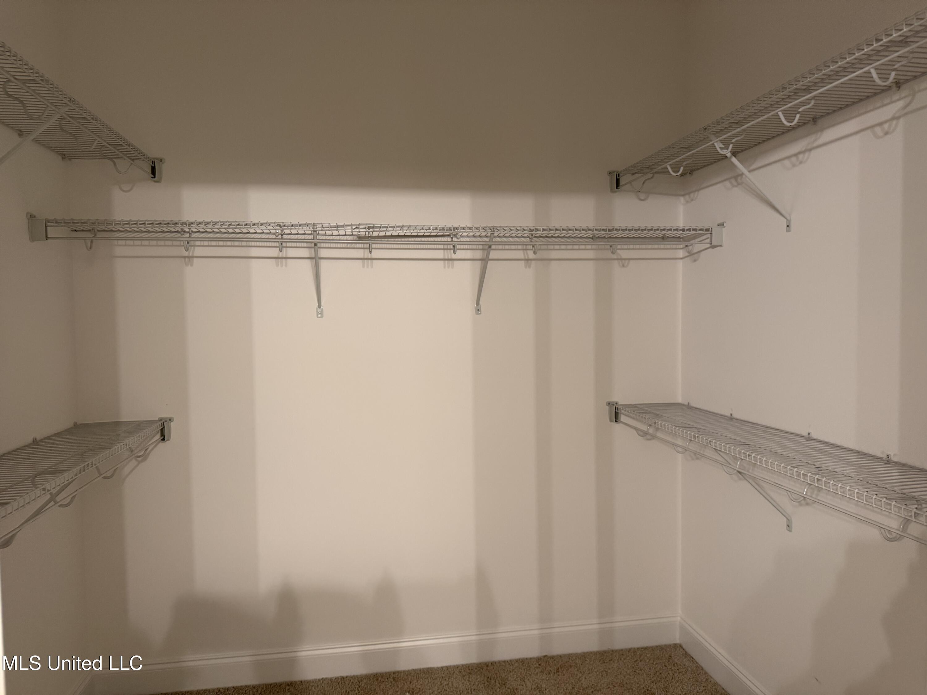 5267 Watson Vw Drive Nesbit, MS 38651 - Photo 11 of 17 IMG_0911