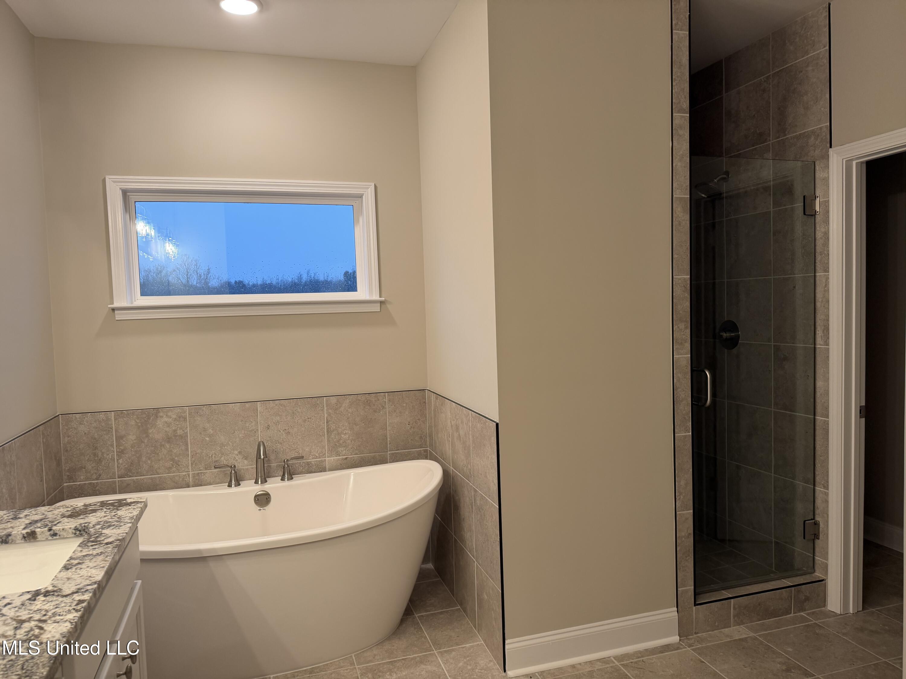 5267 Watson Vw Drive Nesbit, MS 38651 - Photo 10 of 17 IMG_0910