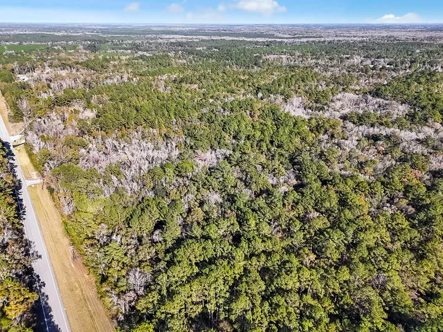 a view of a city with lush green forest