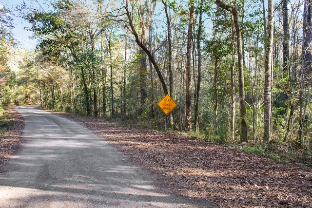 a view of a trees with yard