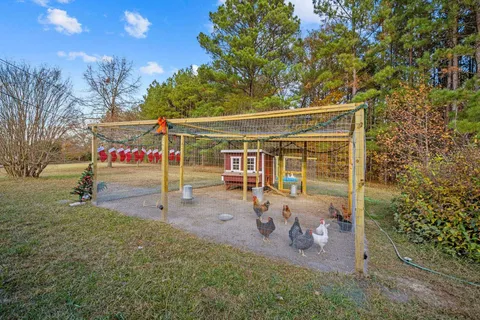 a view of a tree in front of a house