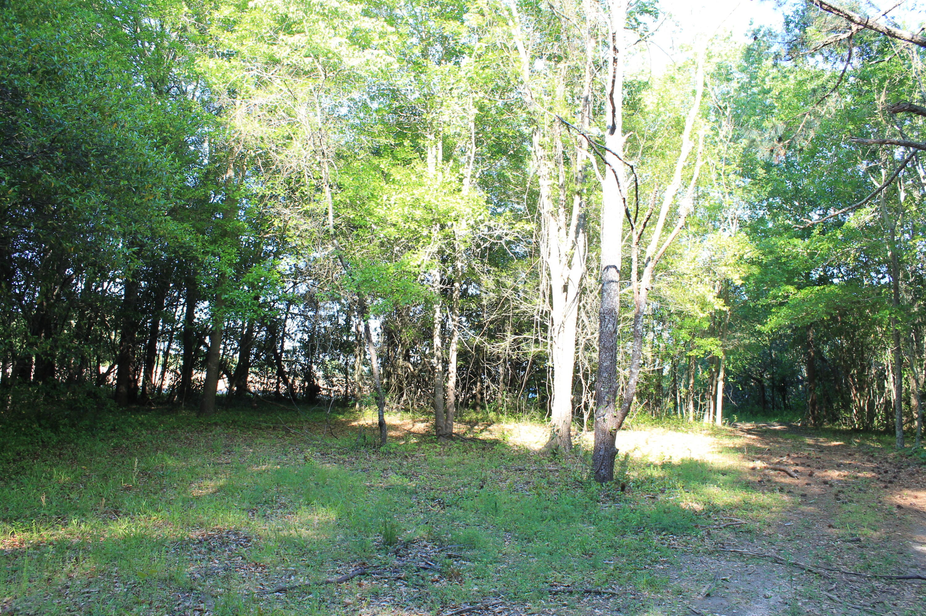 1214 Toolebeck Road Aiken, SC 29803 - Photo 6 of 17