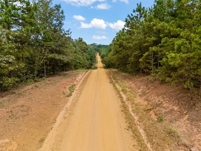a view of a yard with an outdoor space