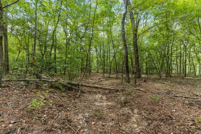 a view of outdoor space with trees