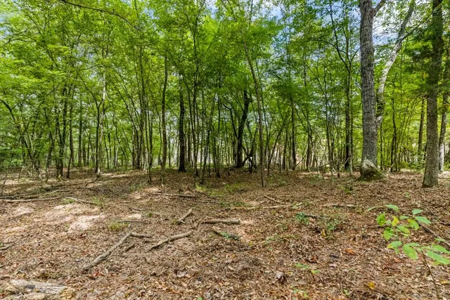 a view of outdoor space with trees