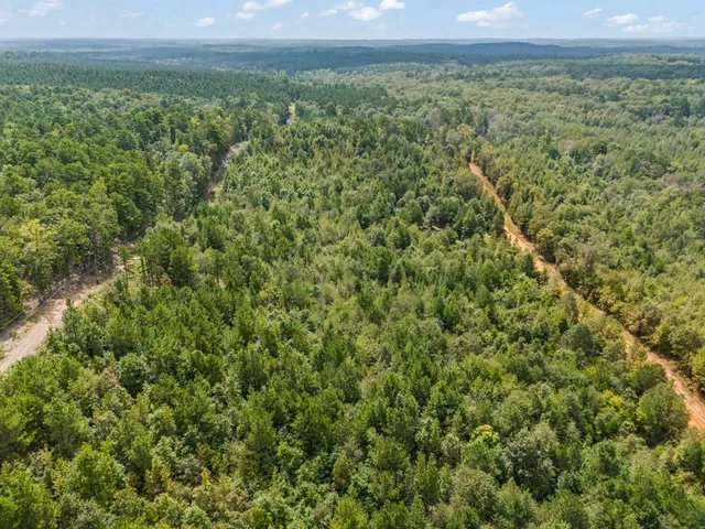 an aerial view of a houses with a lush green forest
