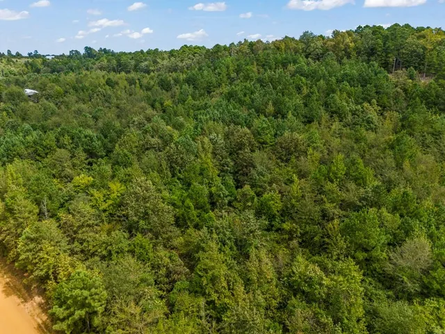 a view of a green field with lots of bushes