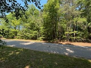 2 Tract 2 Ethridge Road Jefferson, GA 30549 - Photo 5 of 5