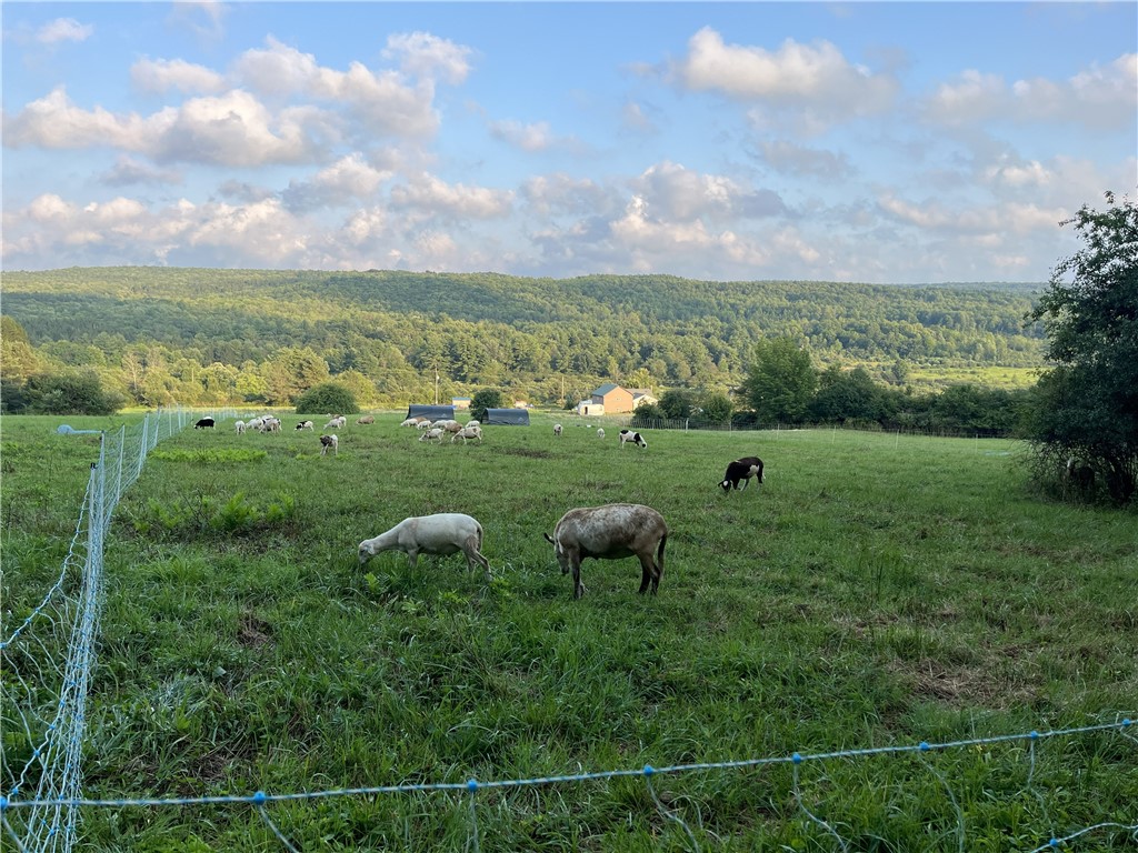 8781 Old State Road Allen, NY 14709 - Photo 13 of 45 Gallery Image 13