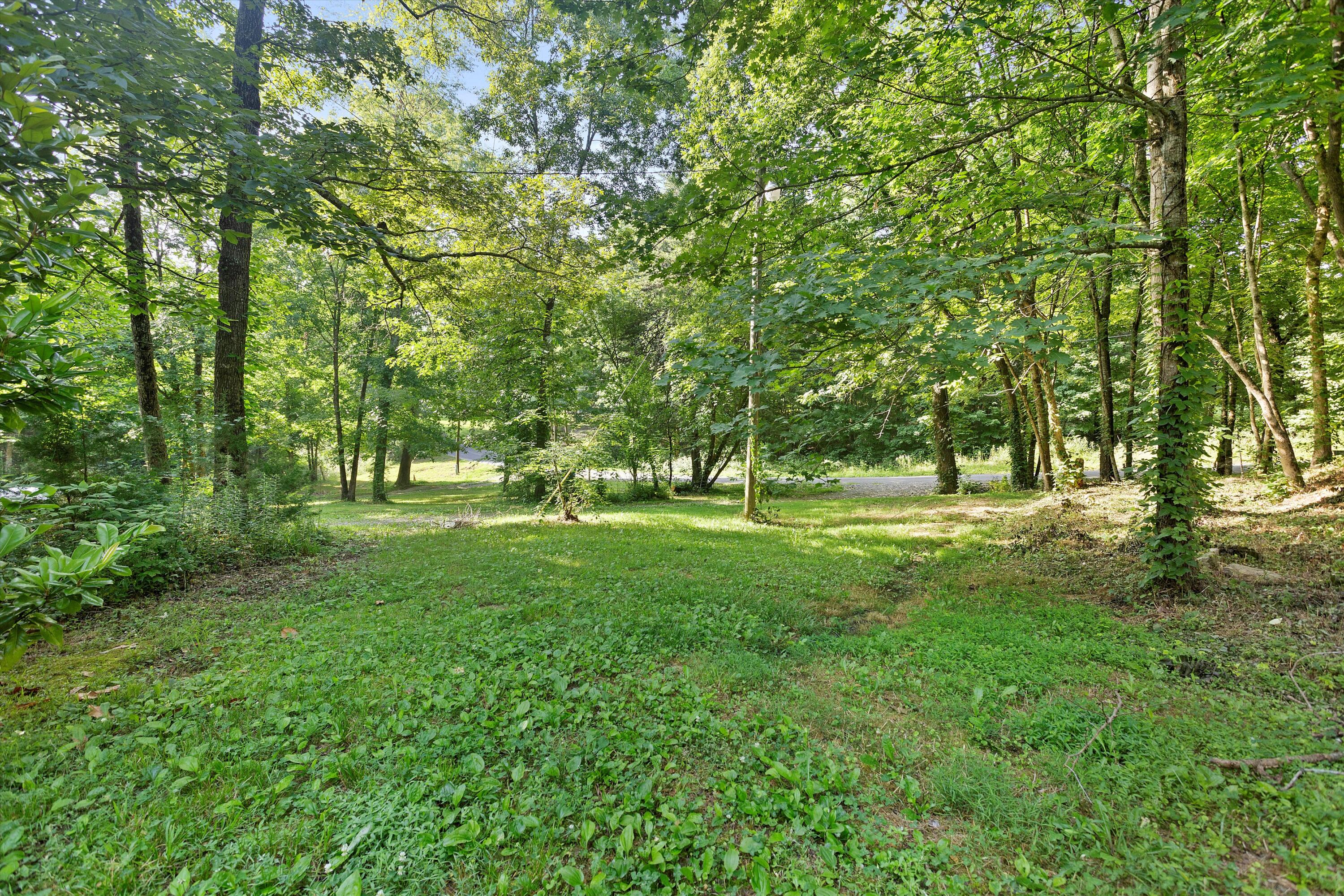 137 Williams Road Rising Fawn, GA 30738 - Photo 38 of 39 39-IMG_4494
