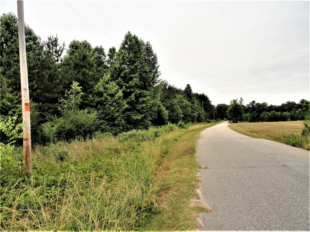 315 Oliver Scotts Mill Road Honea Path, SC 29654 - Photo 2 of 10
