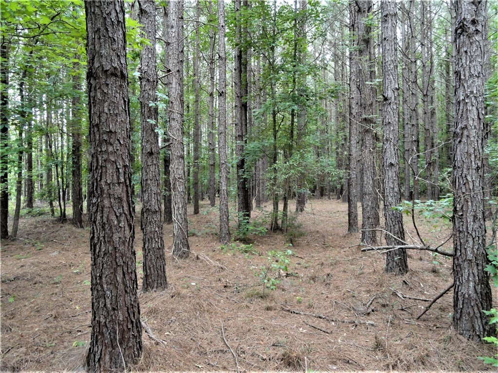 315 Oliver Scotts Mill Road Honea Path, SC 29654 - Photo 3 of 10