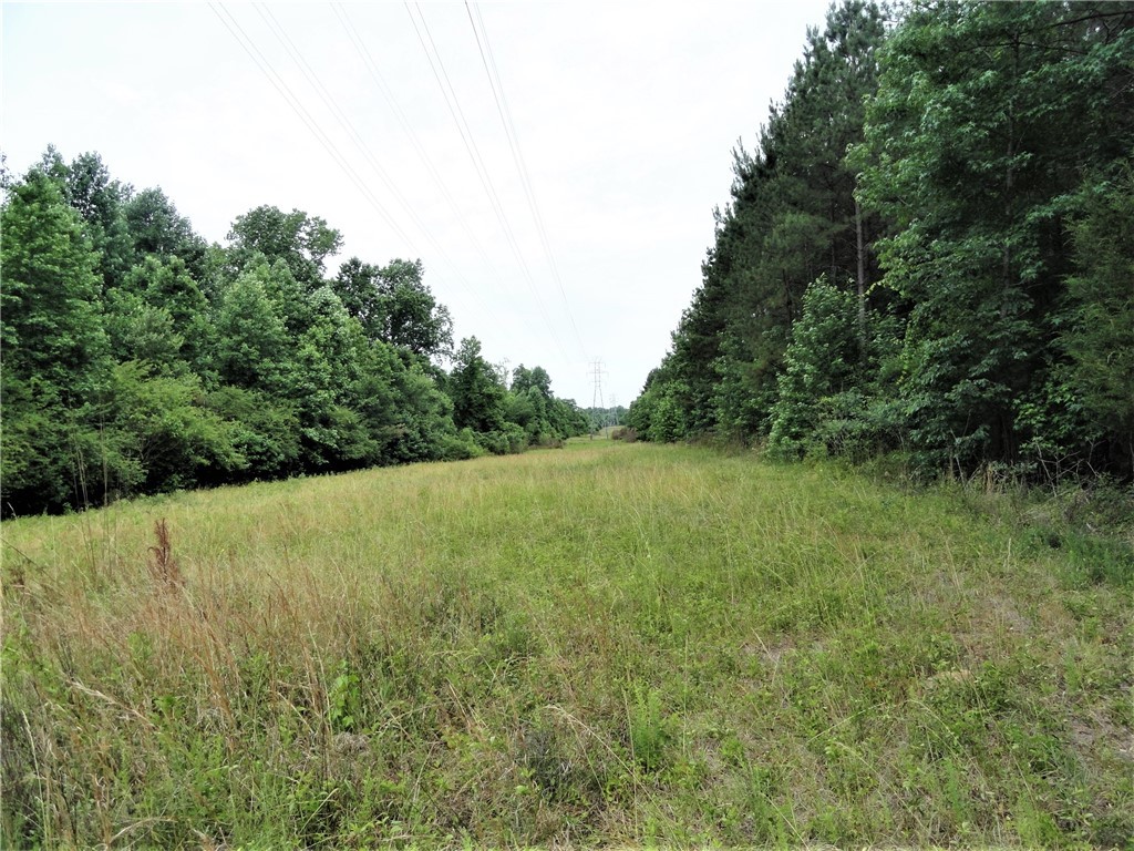 315 Oliver Scotts Mill Road Honea Path, SC 29654 - Photo 4 of 10