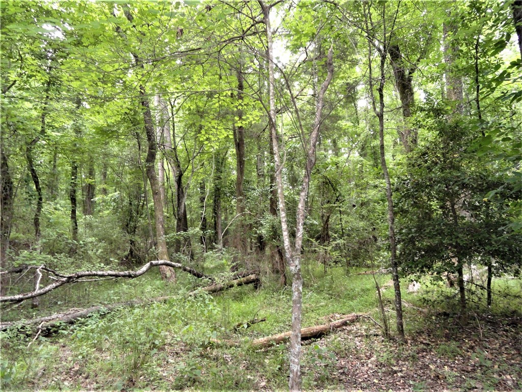 315 Oliver Scotts Mill Road Honea Path, SC 29654 - Photo 5 of 10