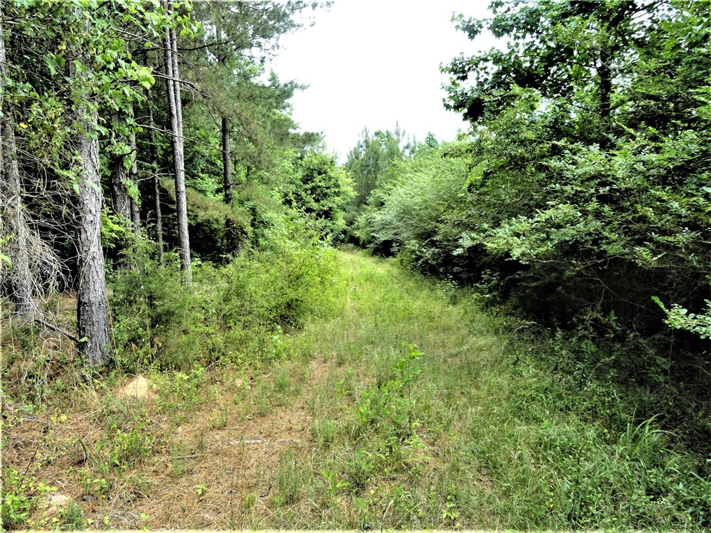 315 Oliver Scotts Mill Road Honea Path, SC 29654 - Photo 9 of 10