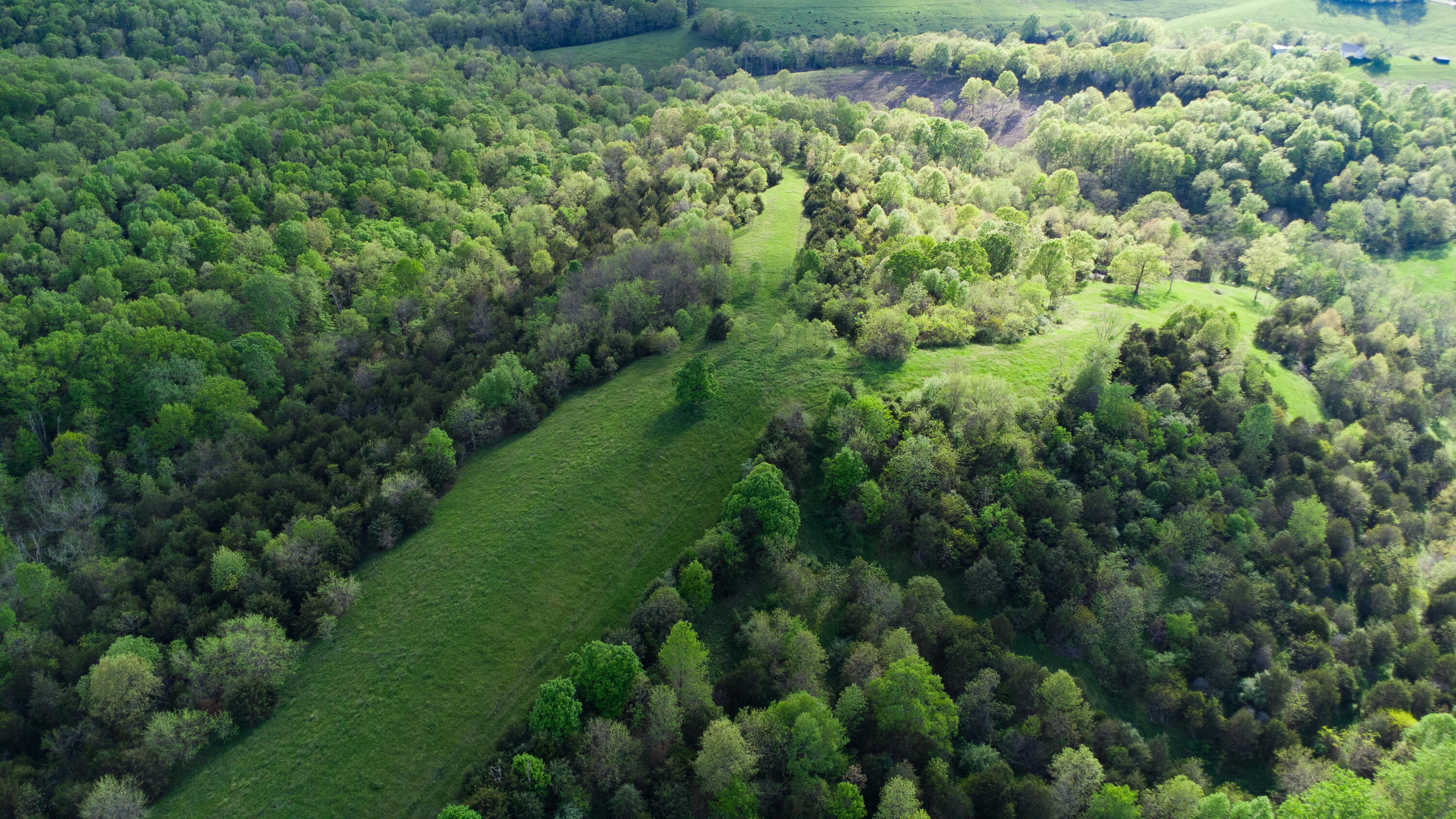 1120 Keefer Road Corinth, KY 41010 - Photo 42 of 49