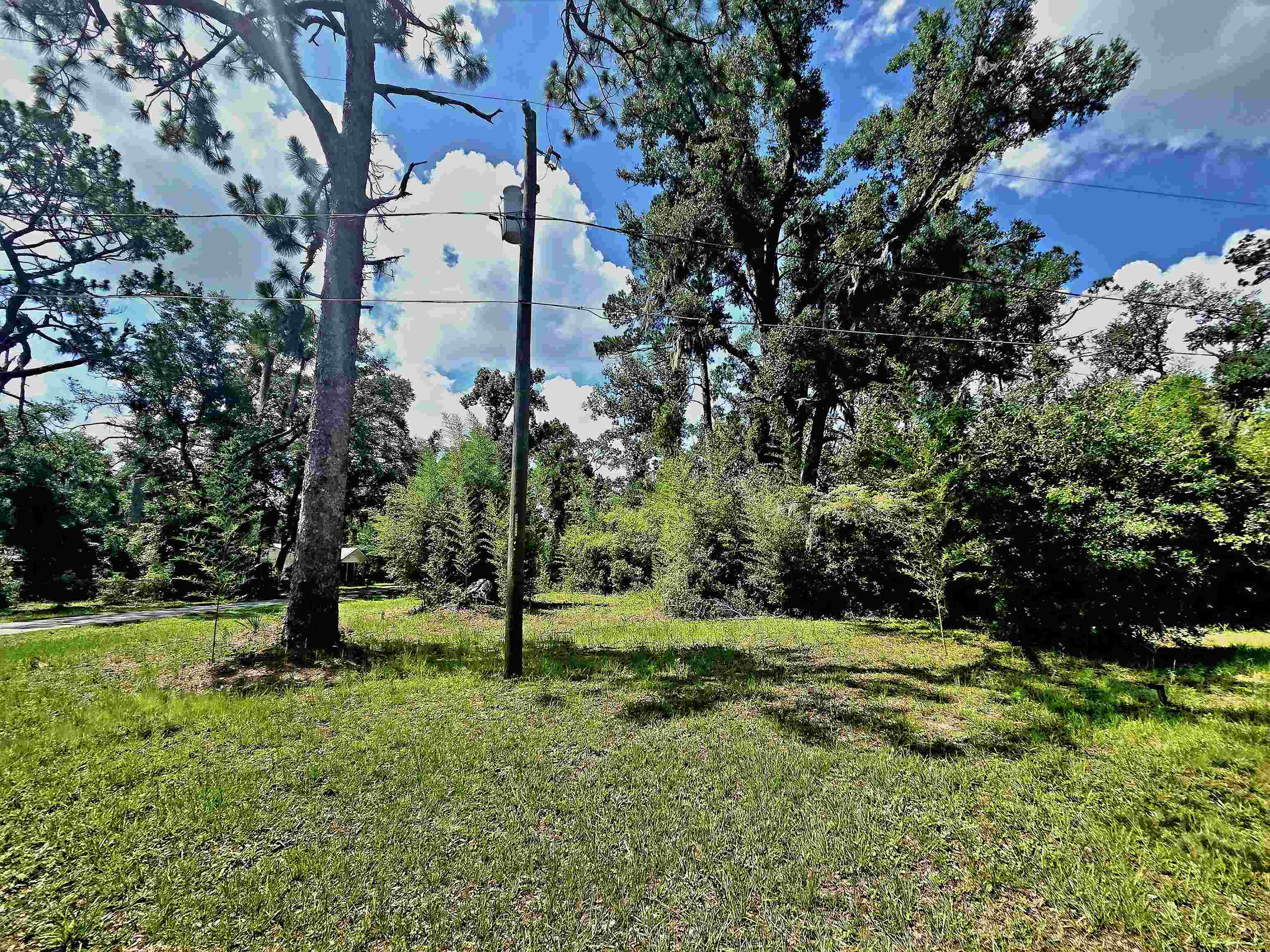 6-8 North Washington Street Perry, FL 32347 - Photo 6 of 15